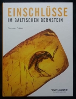 Einschlüsse im Baltischen Bernstein – von Carsten Gröhn